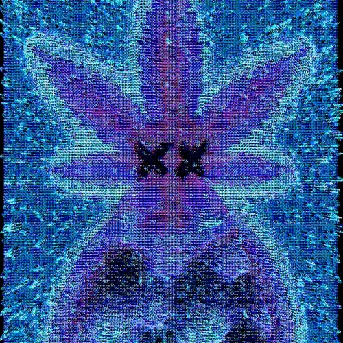 Ngsnft