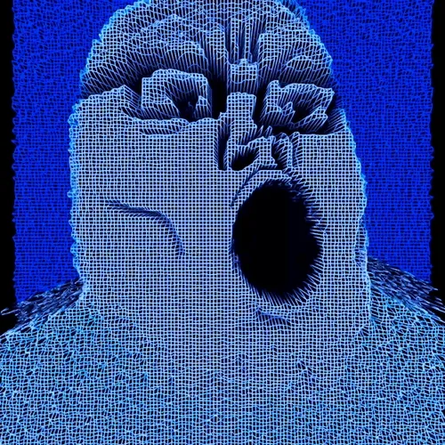 Ngsnft