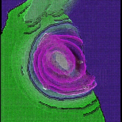 Ngsnft