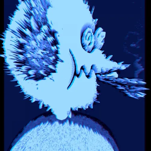 Ngsnft