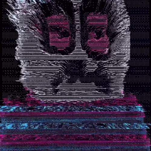 Ngsnft