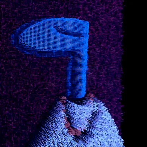Ngsnft