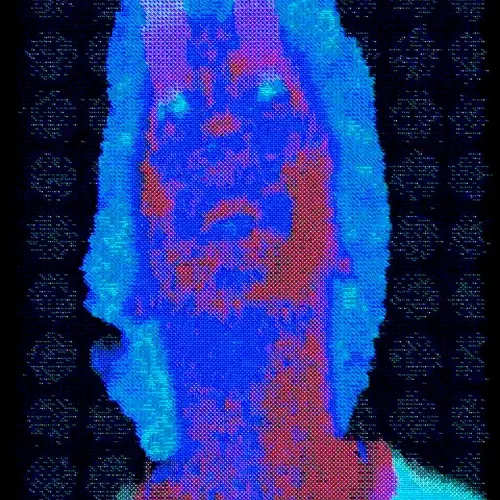 Ngsnft