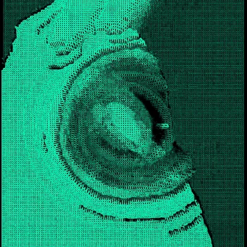 Ngsnft