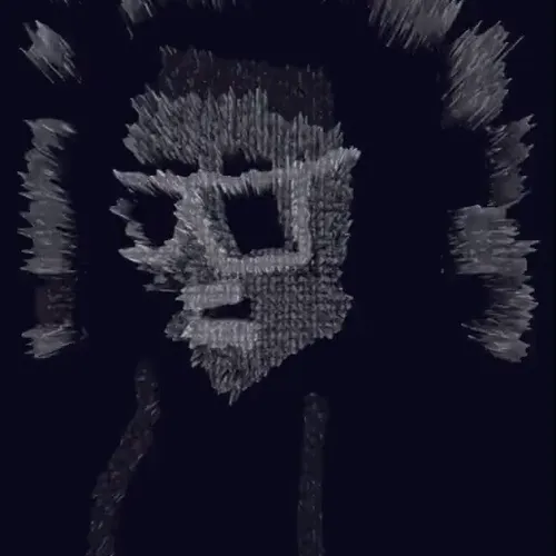 Ngsnft