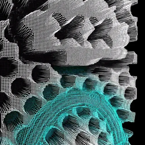 Ngsnft