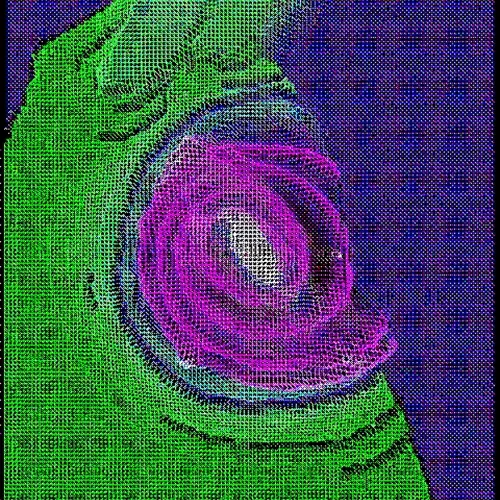 Ngsnft