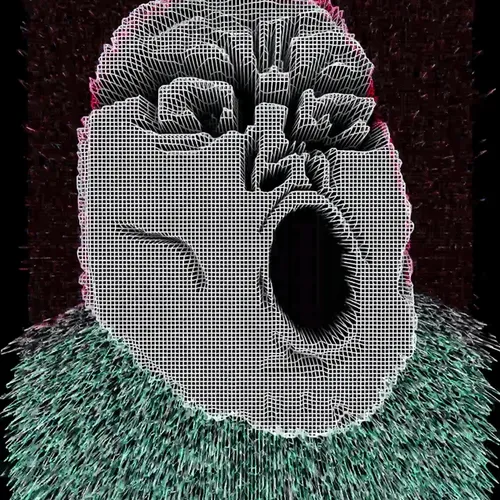 Ngsnft
