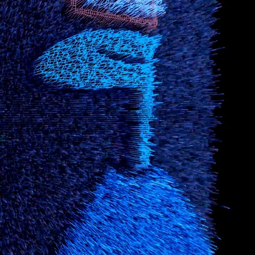 Ngsnft