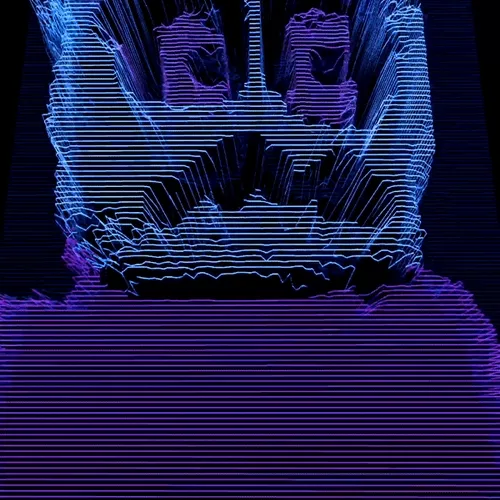 Ngsnft