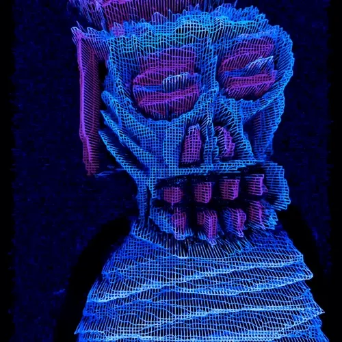 Ngsnft