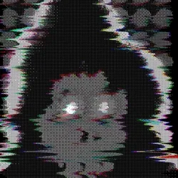 NG #515