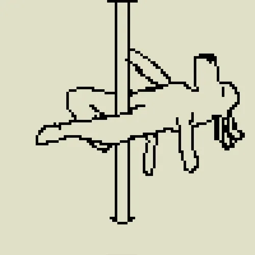 Dog Drawn