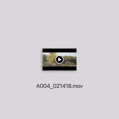 Allmyfiles