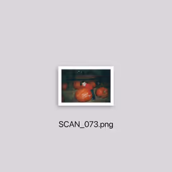 51
