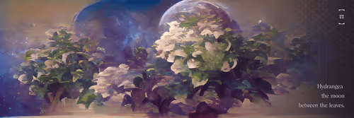 IKANI: ILLUMINATIONS 864
