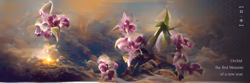 IKANI: ILLUMINATIONS 160