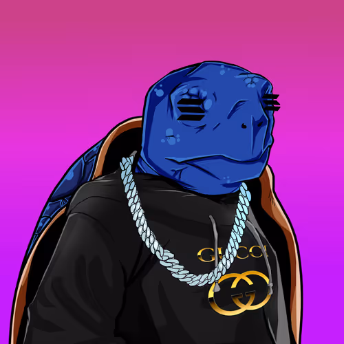 Teach Em Turtles