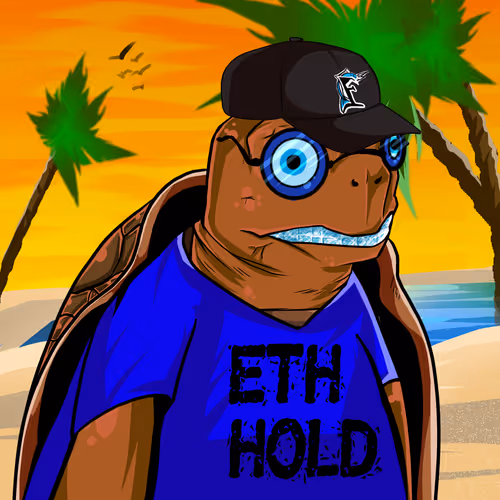 Teach'em Turtles #107
