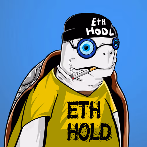 Teach Em Turtles