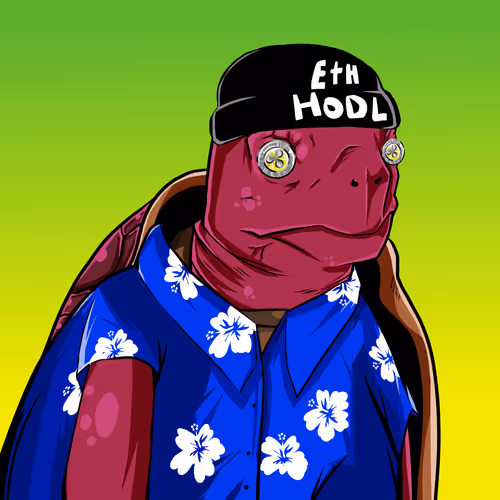 Teach Em Turtles