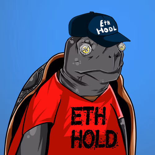 Teach Em Turtles