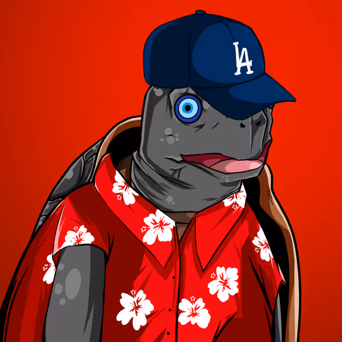 Teach Em Turtles
