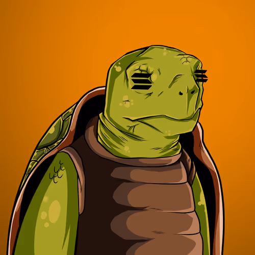 Teach Em Turtles