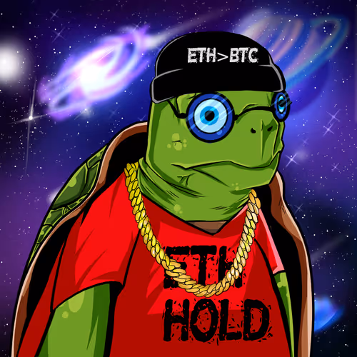 Teach Em Turtles