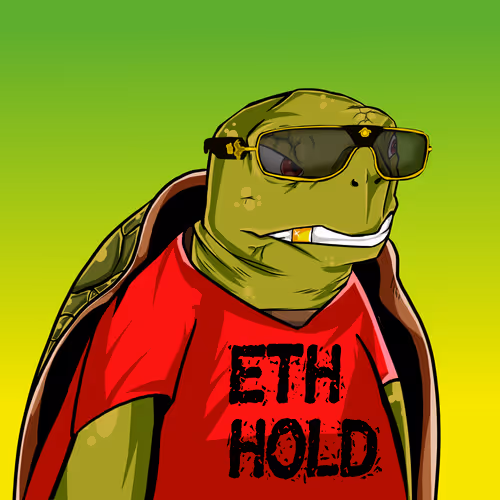 Teach Em Turtles