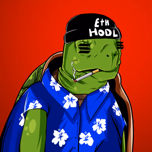 Teach Em Turtles