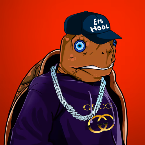 Teach Em Turtles