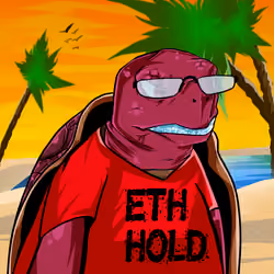 Teach'em Turtles #82