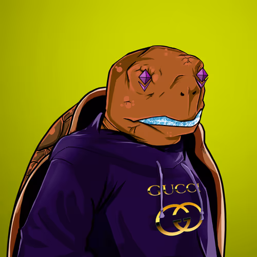 Teach Em Turtles