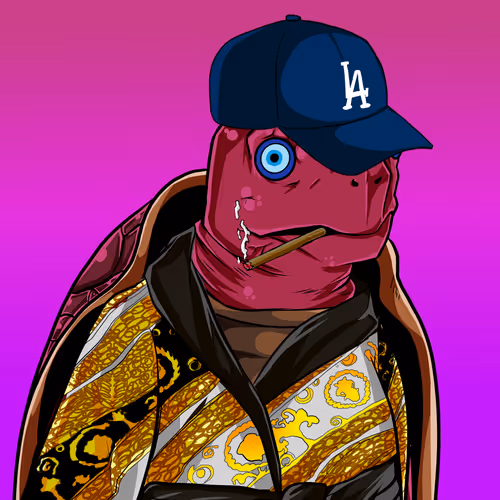 Teach Em Turtles