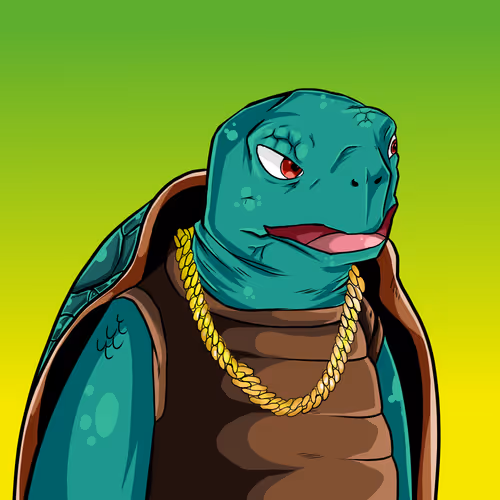 Teach Em Turtles