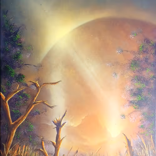 Fine Spray Paint Art The 16x20 Collection