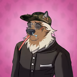 WolfGang #6512