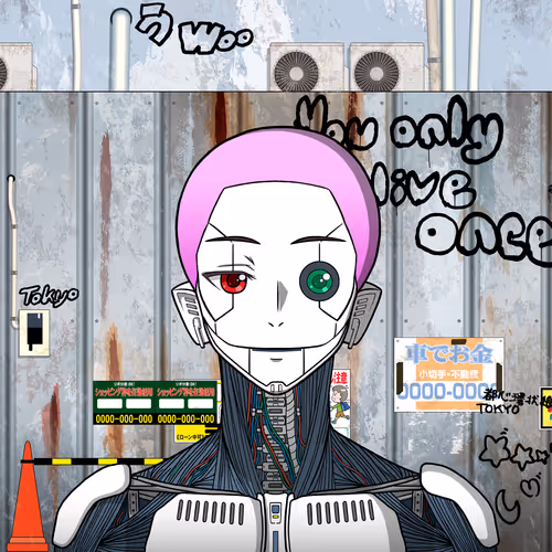 Akibahara Tokyou Mr