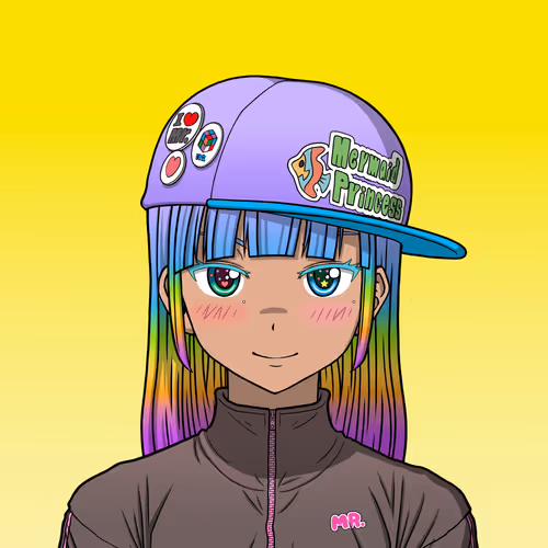 Akibahara Tokyou Mr