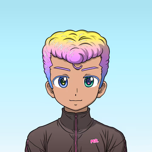 Akibahara Tokyou Mr