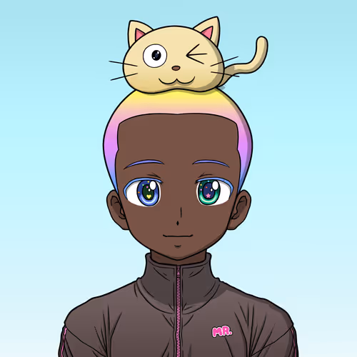 Akibahara Tokyou Mr