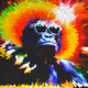 Psyfi V2