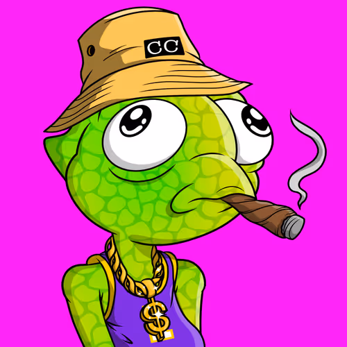Chillinchameleons