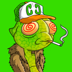 Chameleon #3213