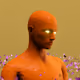 567