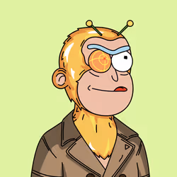 2884