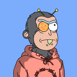 3244