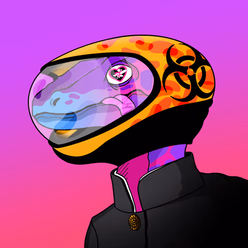 Clevergirlsnft