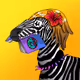 1678